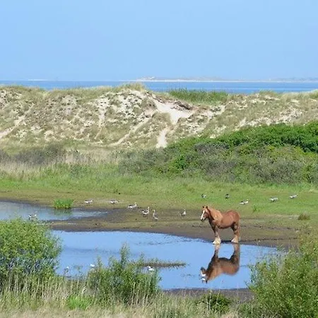 Hotel Jagershuistexel Oosterend (Texel)