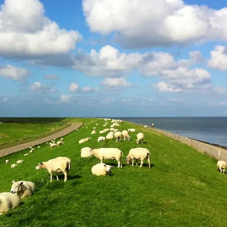 Jagershuistexel ホテル